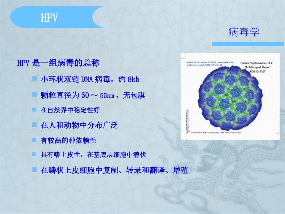 HPV分型在宫颈癌检测中意义【37页】_第5页