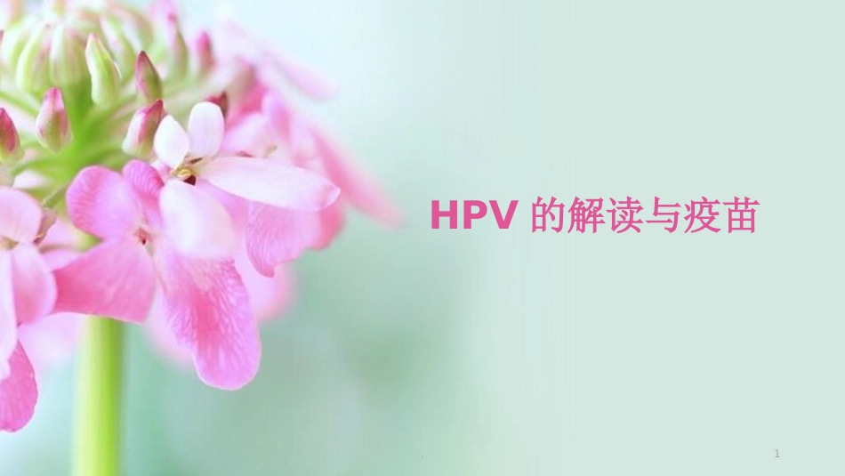 HPV的解读与疫苗【38页】_第1页