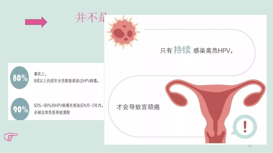 HPV的解读与疫苗【38页】_第10页