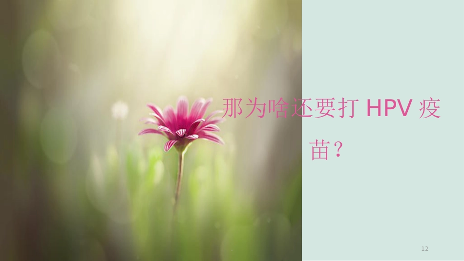 HPV的解读与疫苗【38页】_第12页