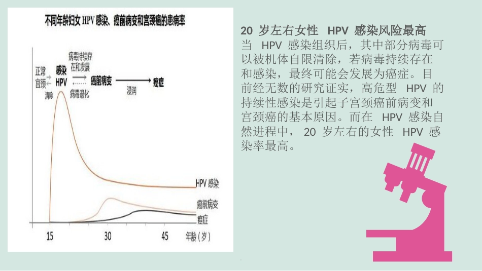 HPV的解读与疫苗【38页】_第15页