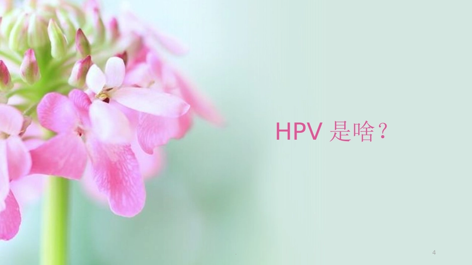 HPV的解读与疫苗【38页】_第4页