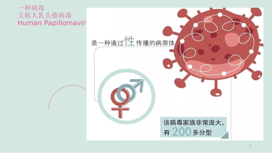 HPV的解读与疫苗【38页】_第5页