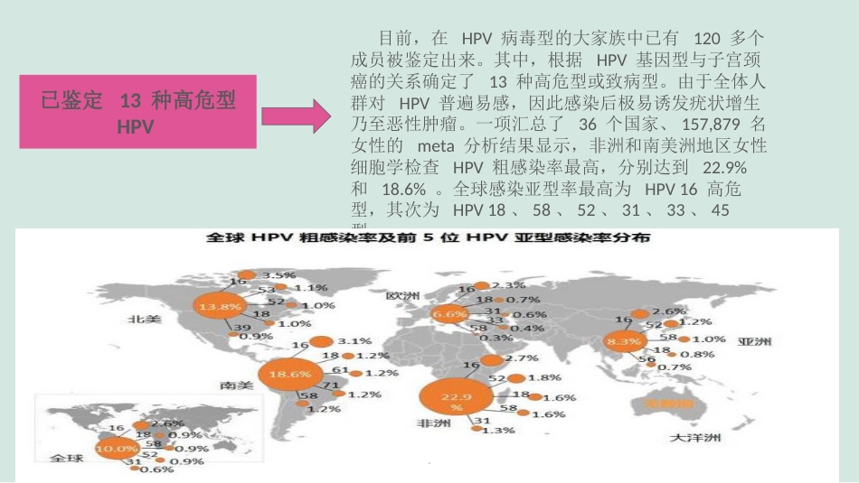 HPV的解读与疫苗【38页】_第6页
