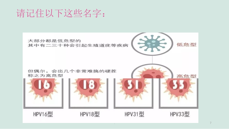 HPV的解读与疫苗【38页】_第7页