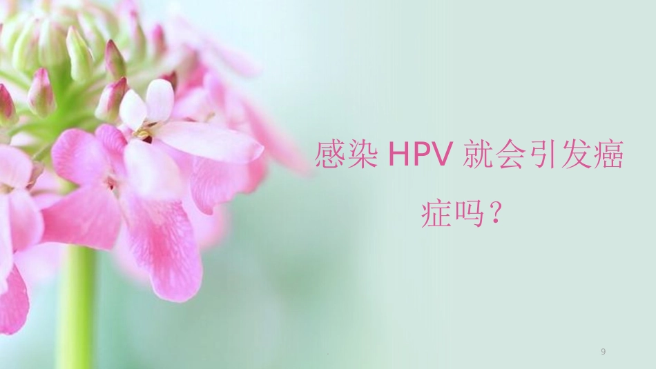 HPV的解读与疫苗【38页】_第9页