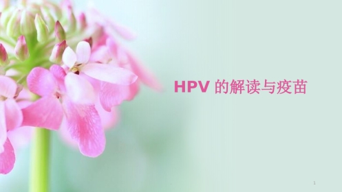 HPV的解读与疫苗【38页】