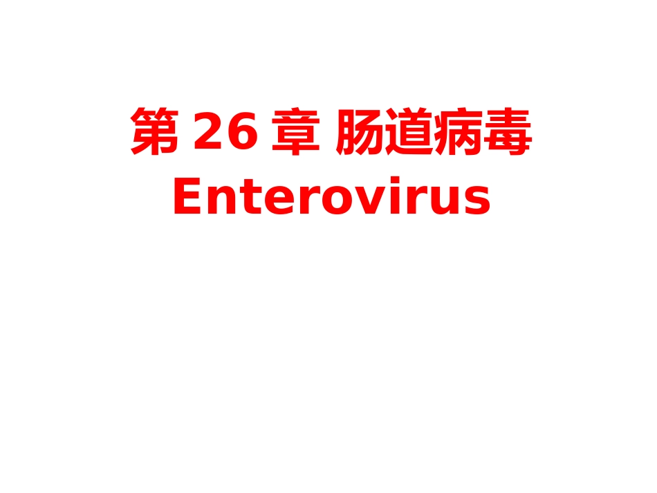 肠道病毒和轮状病毒标准版PPT【41页】_第1页