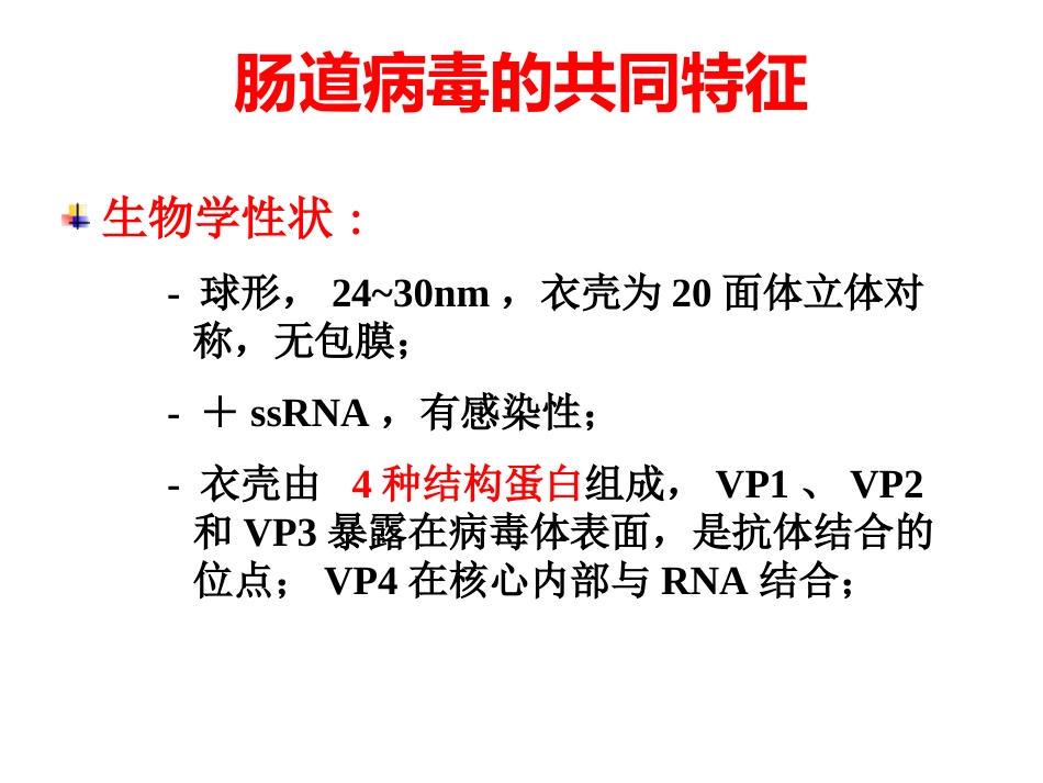 肠道病毒和轮状病毒标准版PPT【41页】_第11页