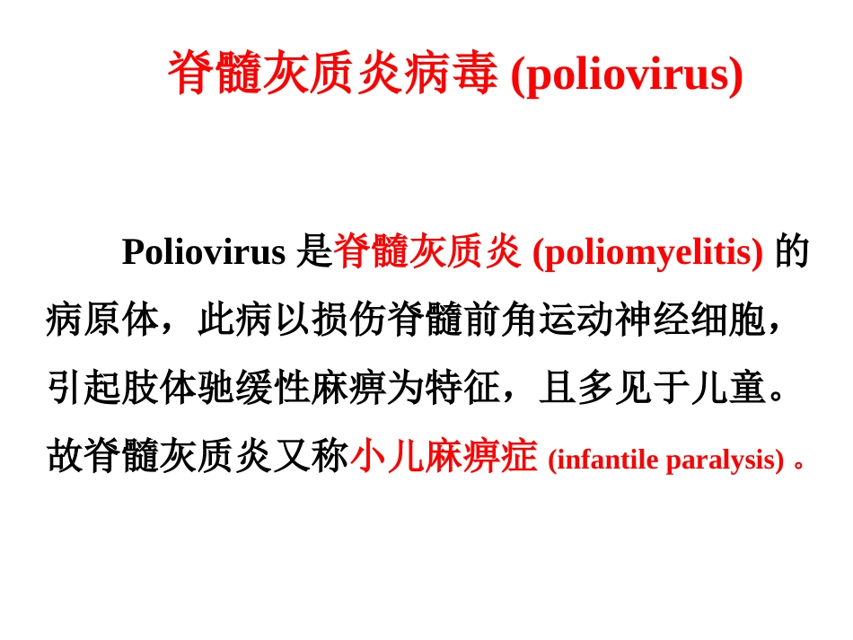肠道病毒和轮状病毒标准版PPT【41页】_第15页