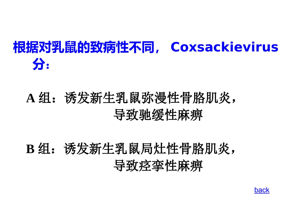 肠道病毒和轮状病毒标准版PPT【41页】_第4页