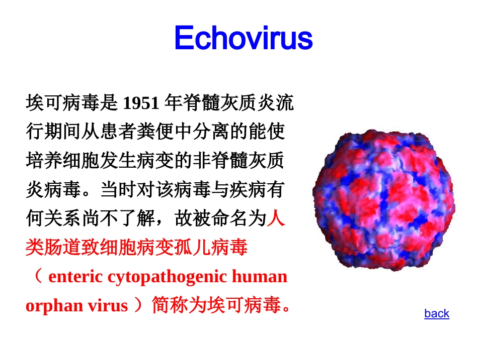 肠道病毒和轮状病毒标准版PPT【41页】_第5页