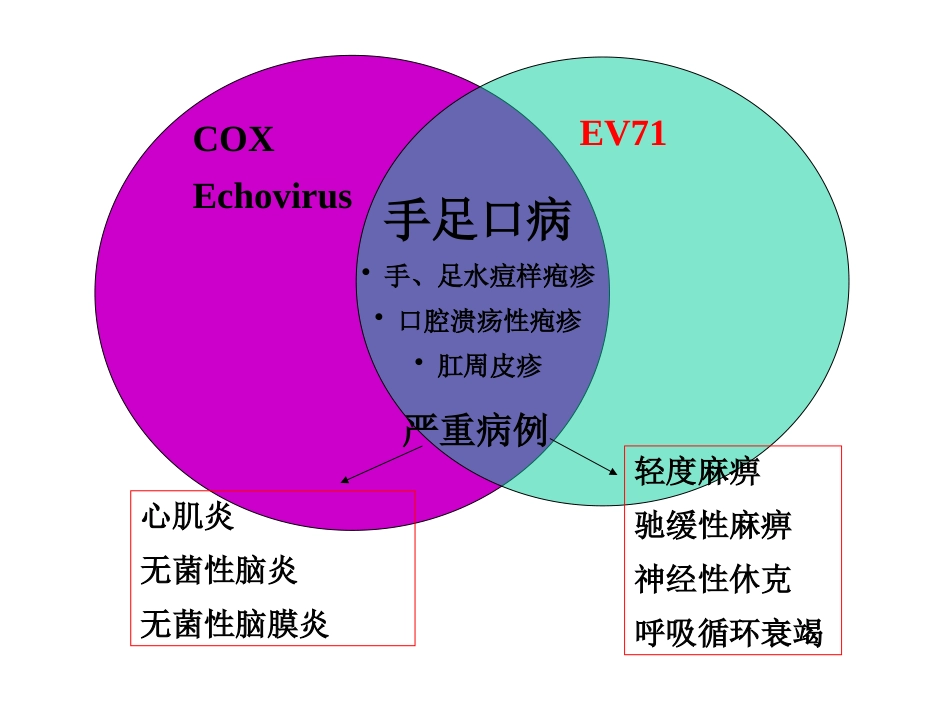 肠道病毒和轮状病毒标准版PPT【41页】_第6页