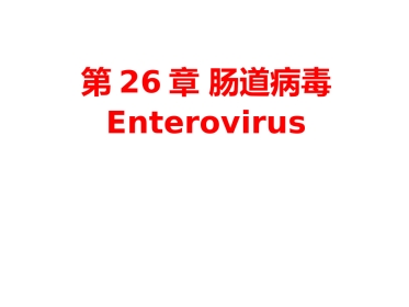 肠道病毒和轮状病毒标准版PPT【41页】