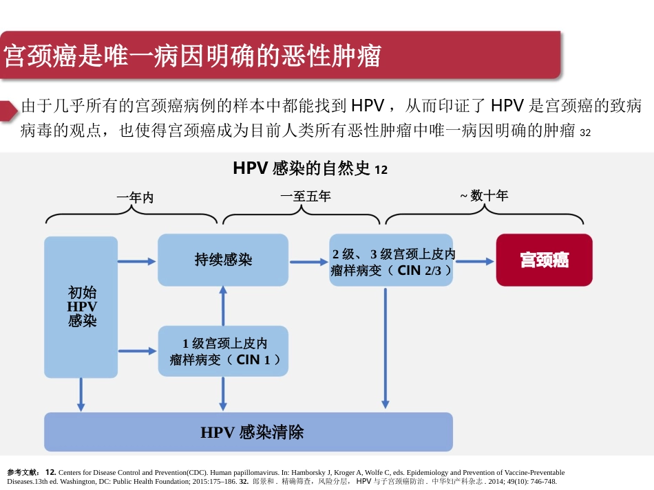 宫颈癌与HPV疫苗【45页】_第10页