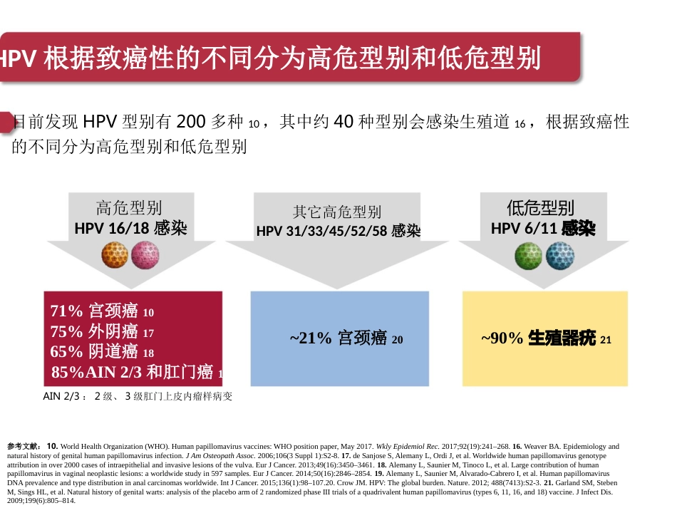 宫颈癌与HPV疫苗【45页】_第11页