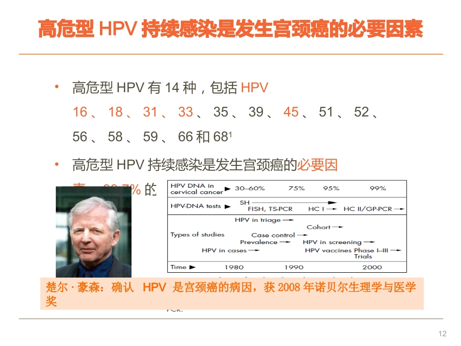 宫颈癌与HPV疫苗【45页】_第12页
