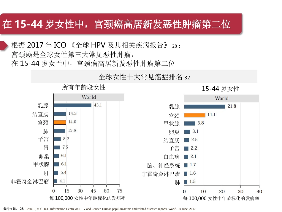宫颈癌与HPV疫苗【45页】_第5页