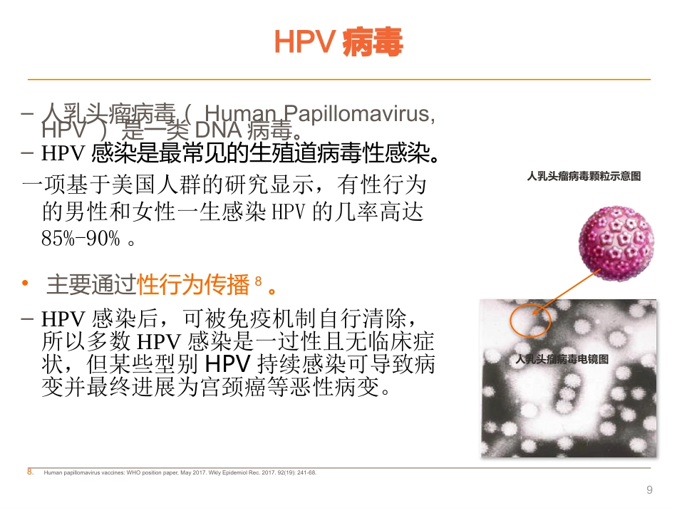 宫颈癌与HPV疫苗【45页】_第9页