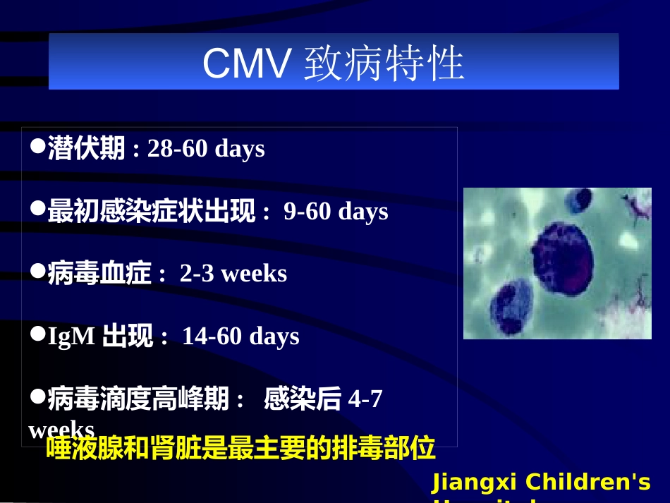 巨细胞病毒【49页】_第11页