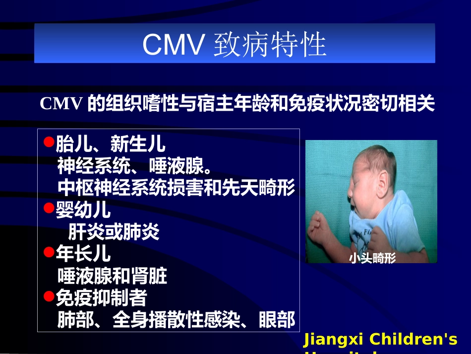 巨细胞病毒【49页】_第12页