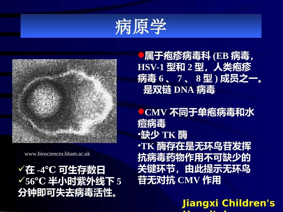 巨细胞病毒【49页】_第3页