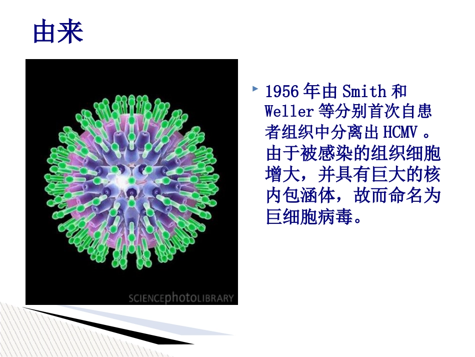 儿童巨细胞病毒性疾病诊断和防治【51页】_第2页