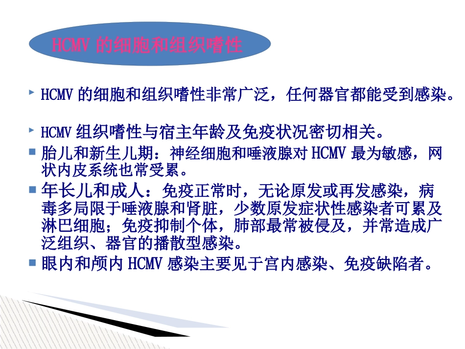 儿童巨细胞病毒性疾病诊断和防治【51页】_第7页