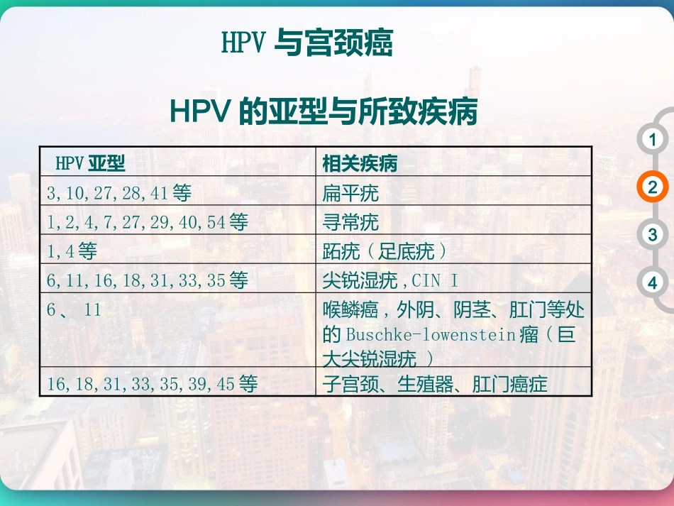 HPV DNA分型与临床 PPT【51页】_第12页