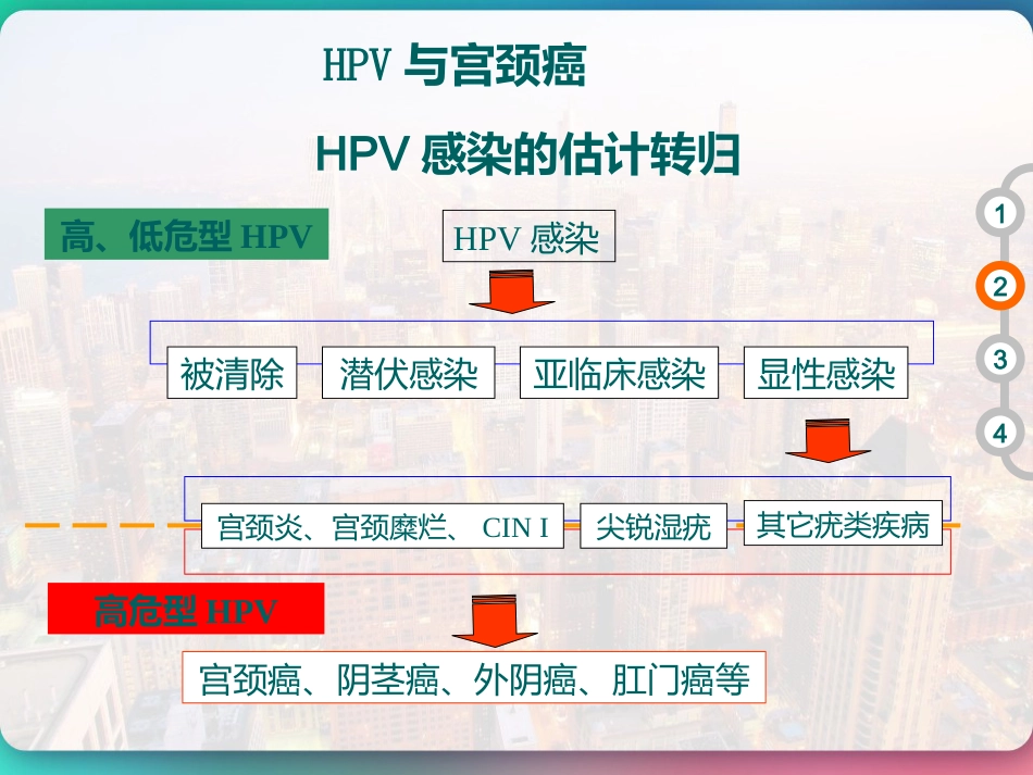 HPV DNA分型与临床 PPT【51页】_第13页