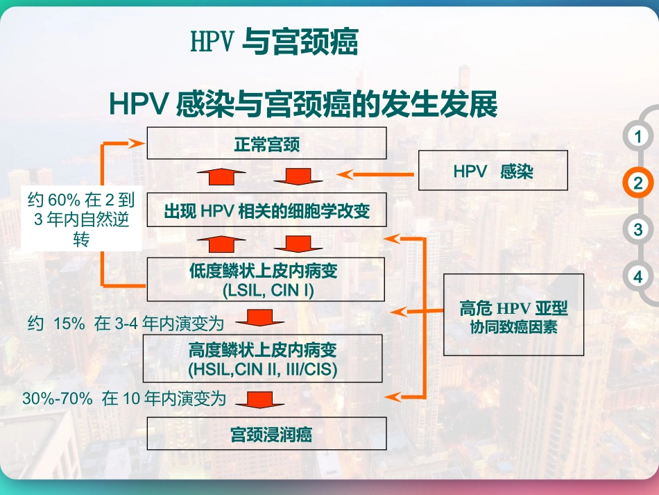 HPV DNA分型与临床 PPT【51页】_第14页