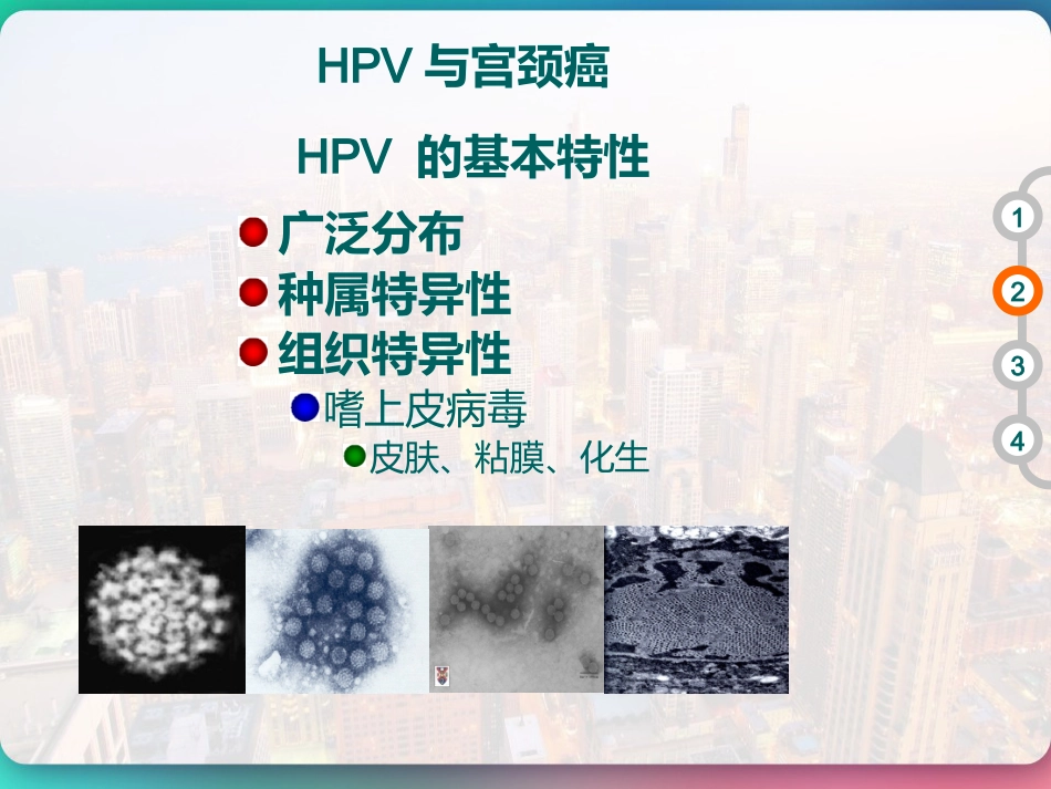 HPV DNA分型与临床 PPT【51页】_第5页
