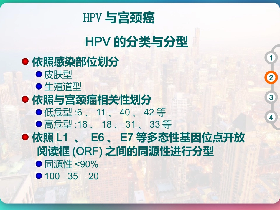 HPV DNA分型与临床 PPT【51页】_第8页