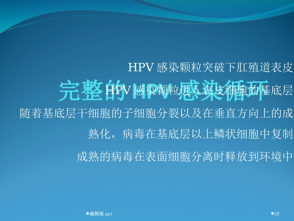 宫颈HPV感染ppt课件【52页】_第10页