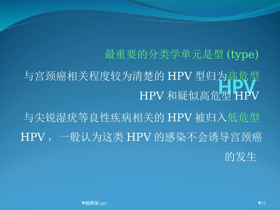 宫颈HPV感染ppt课件【52页】_第11页