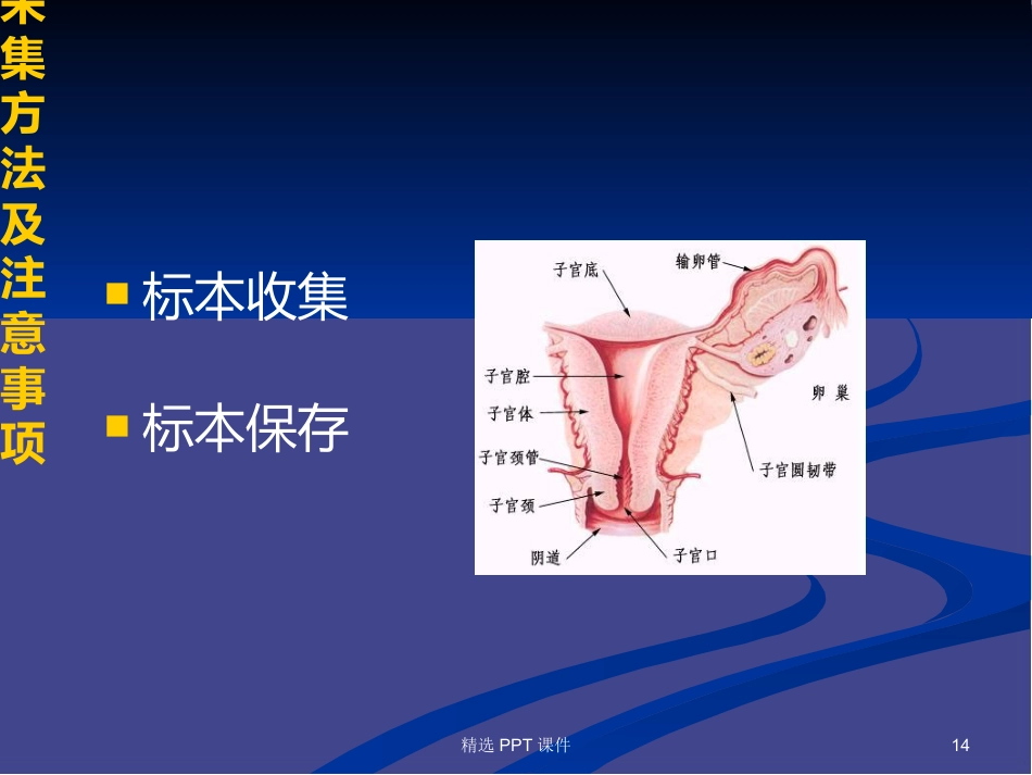 HPV基因分型检测试剂盒常见问题PPT课件【58页】_第14页