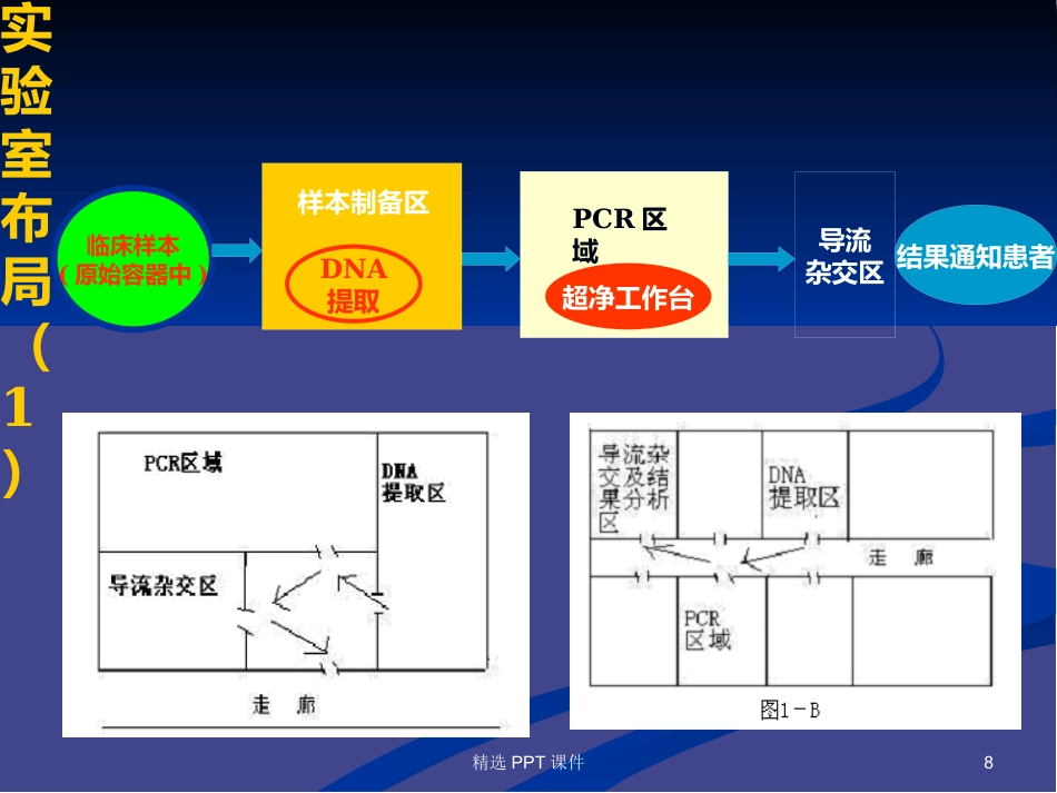 HPV基因分型检测试剂盒常见问题PPT课件【58页】_第8页