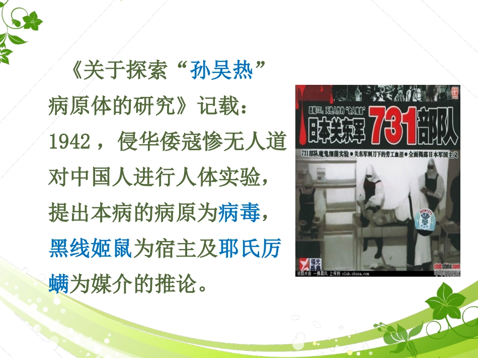 汉坦病毒、疱疹病毒【60页】_第11页