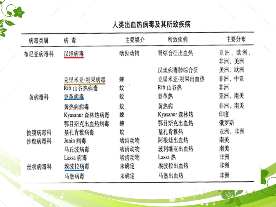 汉坦病毒、疱疹病毒【60页】_第5页