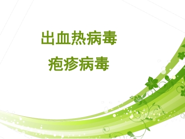 汉坦病毒、疱疹病毒【60页】