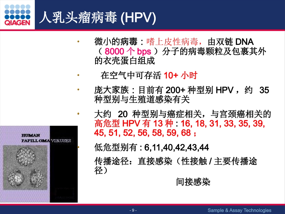 HPV与宫颈癌筛查【63页】_第9页
