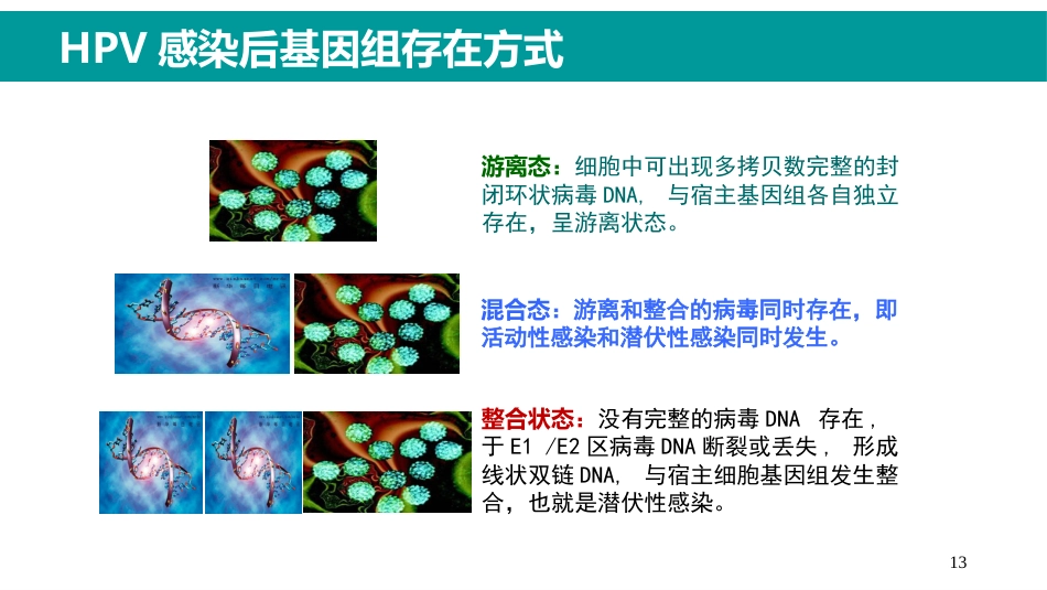 HPV感染与临床防治-妇科左宏玲【63页】_第13页