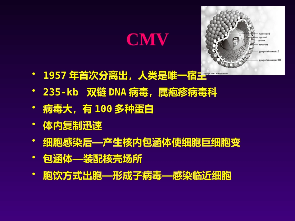 儿童巨细胞病毒感染王天有【65页】_第10页