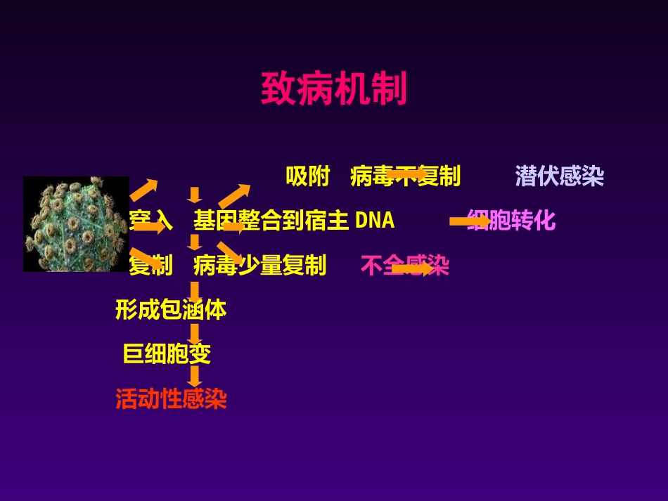儿童巨细胞病毒感染王天有【65页】_第15页