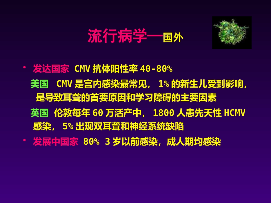 儿童巨细胞病毒感染王天有【65页】_第4页