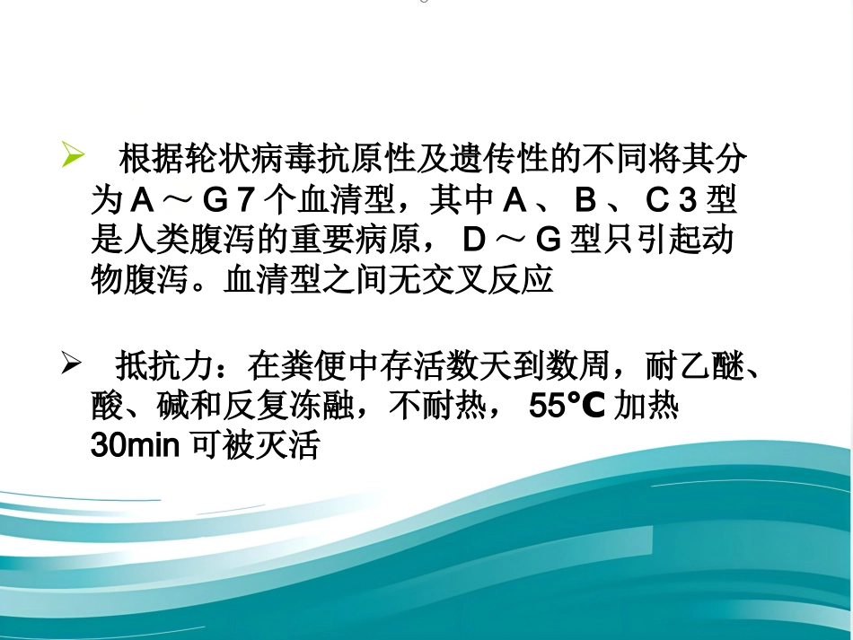 第一节 食品传播的病毒【67页】_第13页