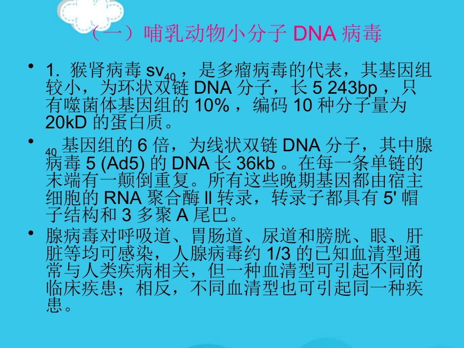 病毒基因组的表达及病毒感染对宿主细胞PPT优质资料【72页】_第12页
