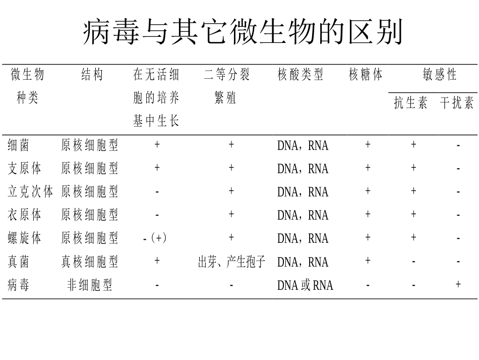 病毒的基本特征PPT【76页】_第4页