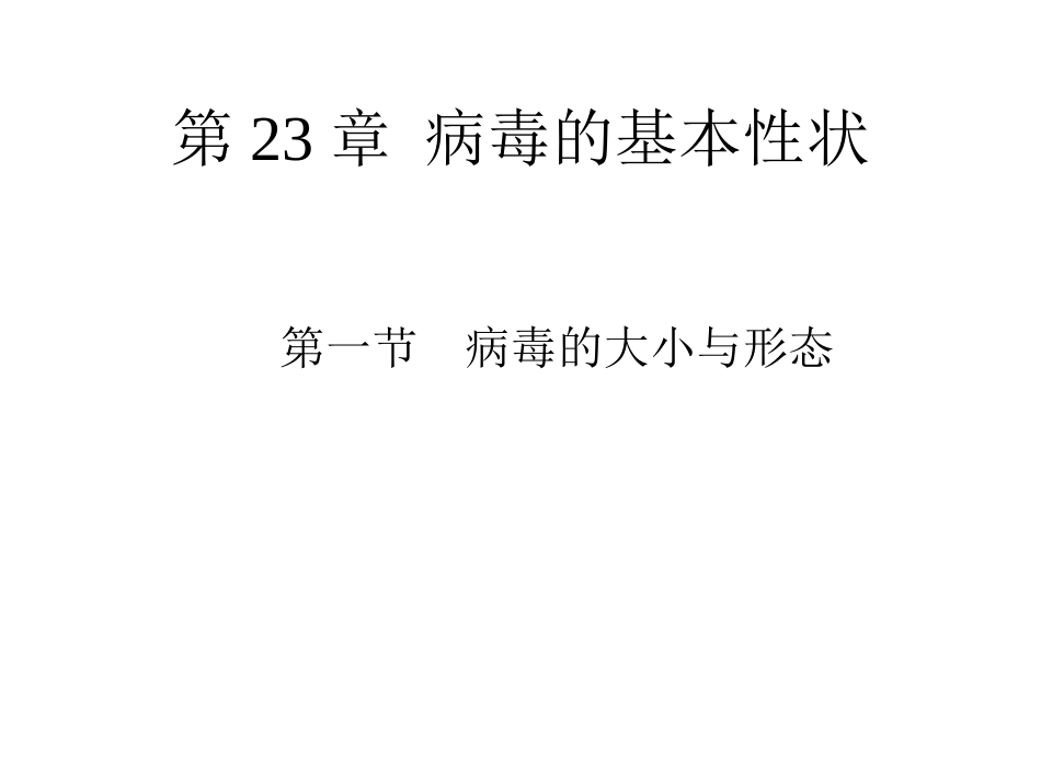 病毒的基本特征PPT【76页】_第6页
