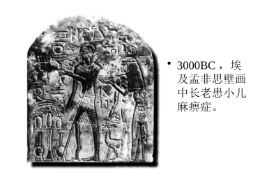 病毒的基本特征PPT【76页】